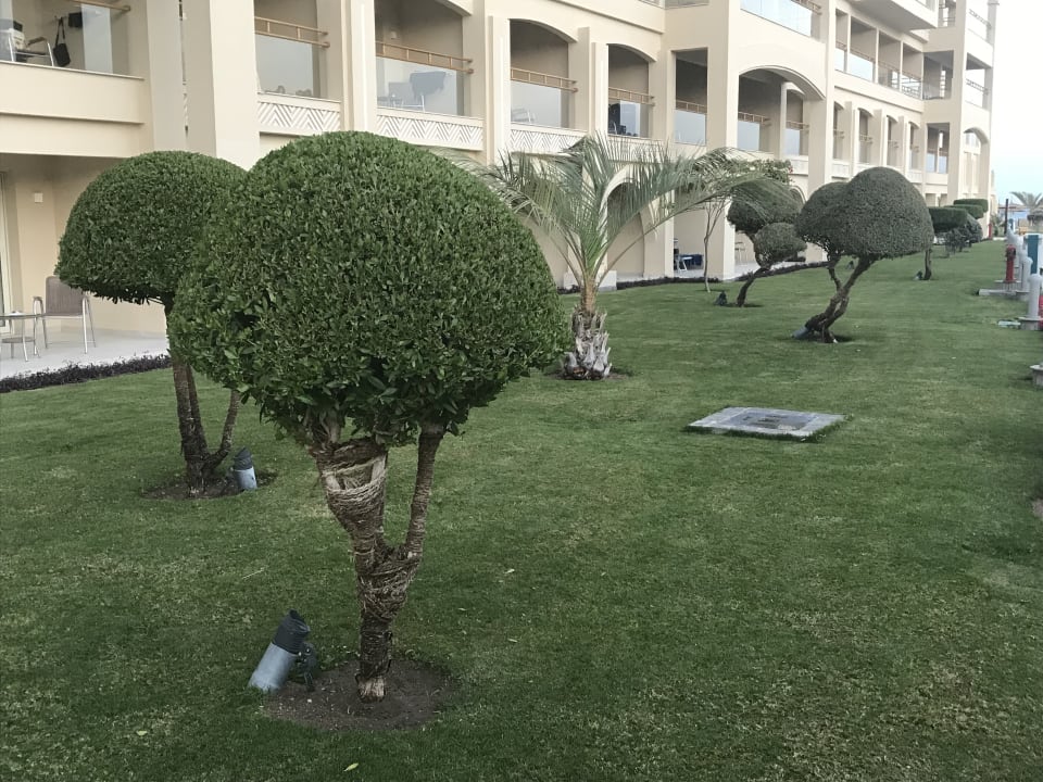 Gartenanlage Pickalbatros White Beach Resort - Hurghada