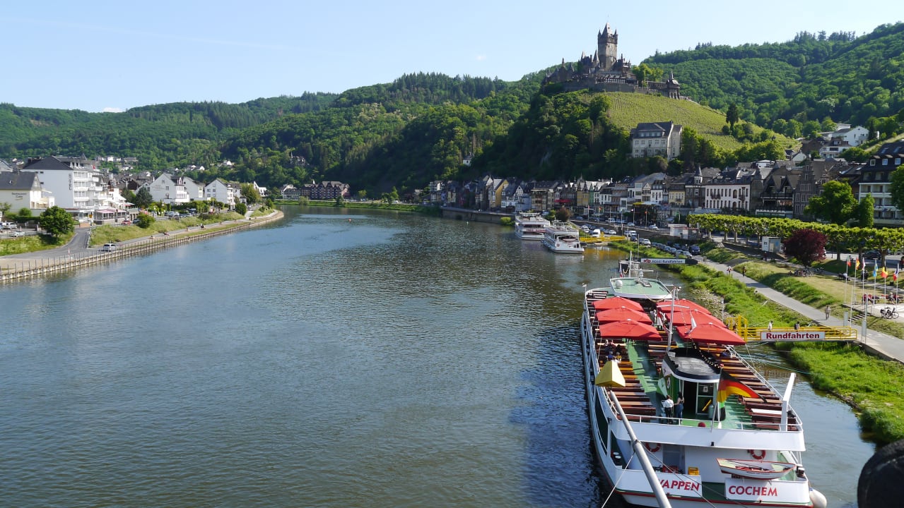 Ausblick Moselstern Hotel Brixiade & Triton