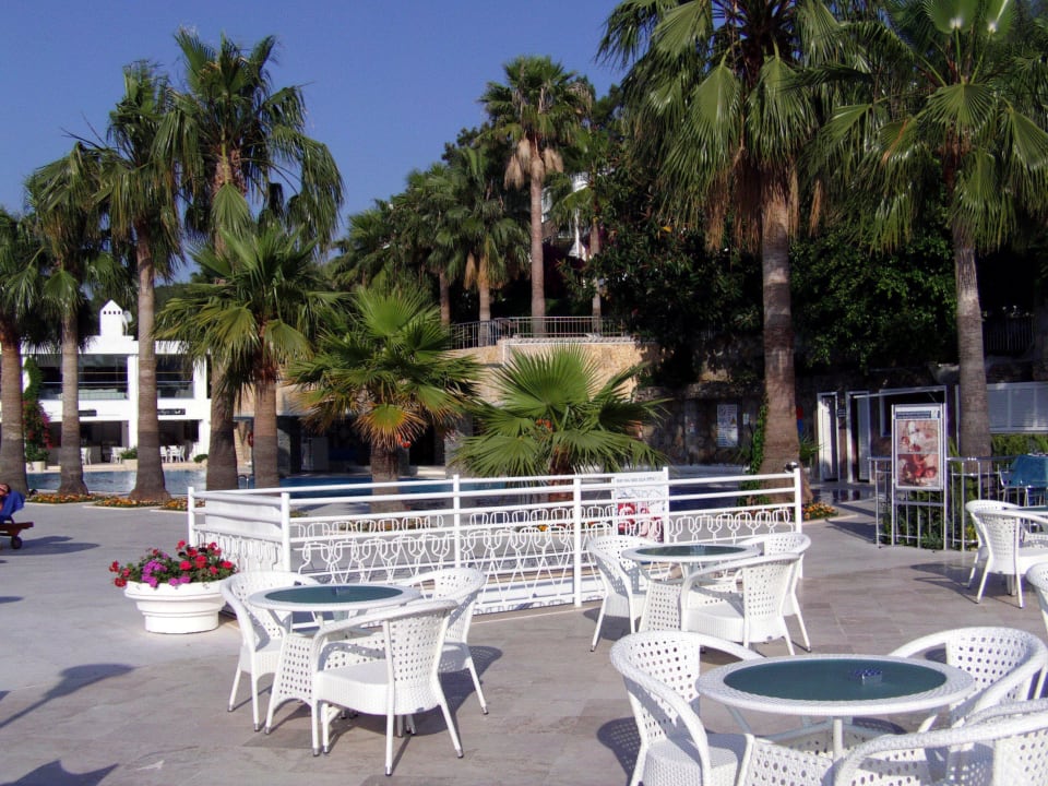 Bar am Pool des Restaurant Blue Dreams Resort & Spa