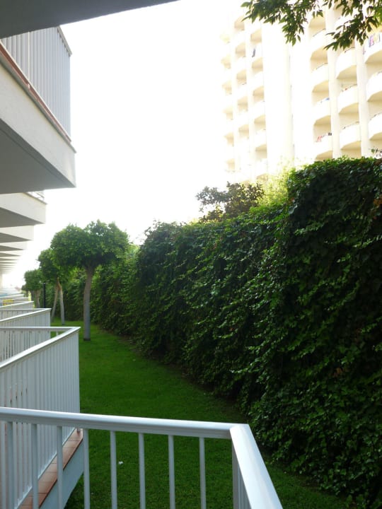 Unser Ausblick von der Terrasse Hotel Riu Nautilus - Adults only