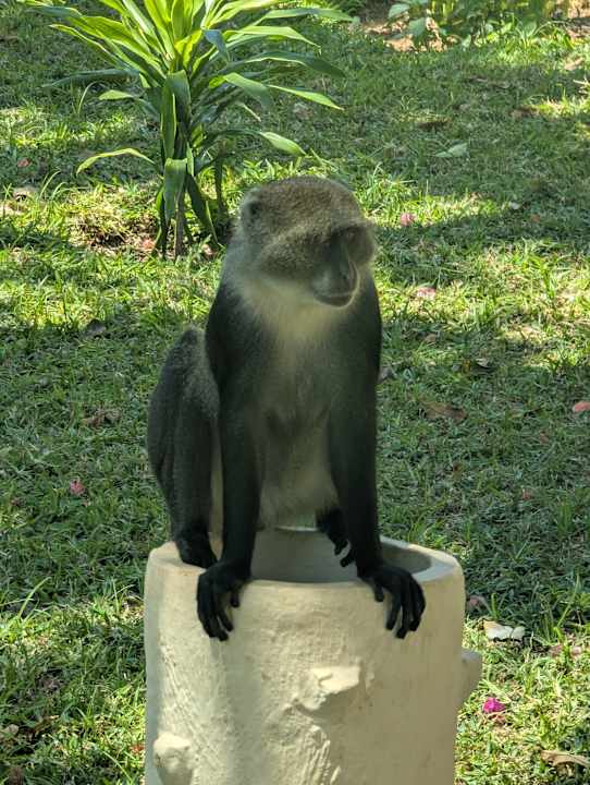 Gartenanlage Neptune Paradise Beach Resort & Spa