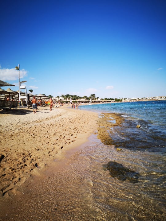 Strand Jaz Makadi Oasis Resort