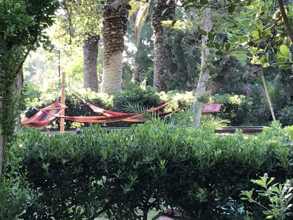 Gartenanlage Apollonia Beach Resort & Spa