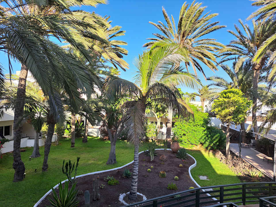 Ausblick H10 Ocean Dunas - Adults only