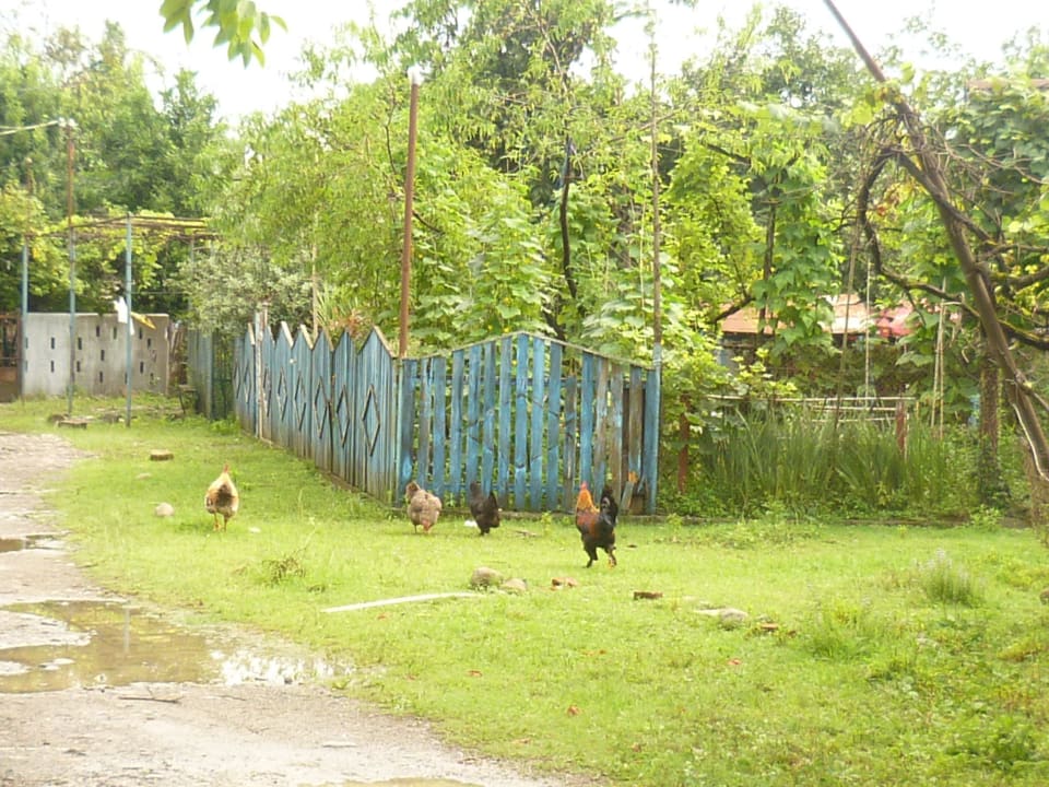 Okolice hotelu Hotel Oasis