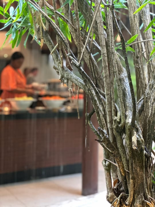 Gastro Summer Island Maldives