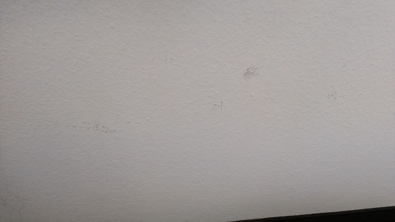 Diverse Flecken an der Wand Days Inn Leipzig City Centre