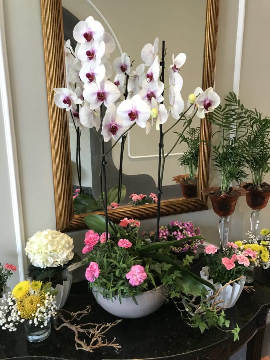 Sonstiges Pestana Royal Premium All Inclusive Ocean & Spa Resort