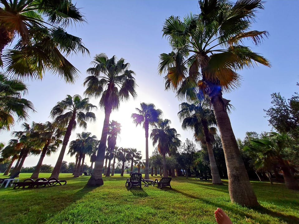 Gartenanlage Seaden Sea World Resort & Spa