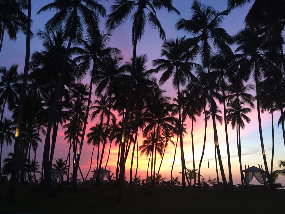 Strand Viva V Samana by Wyndham – Adults Only