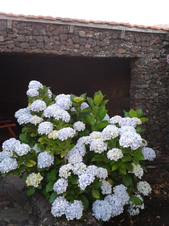 Gartenanlage Casa Rural Aborigen Bimbache