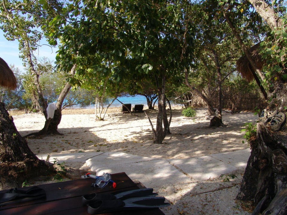 Blick aus der Villa in den Garten NusaBay Menjangan
