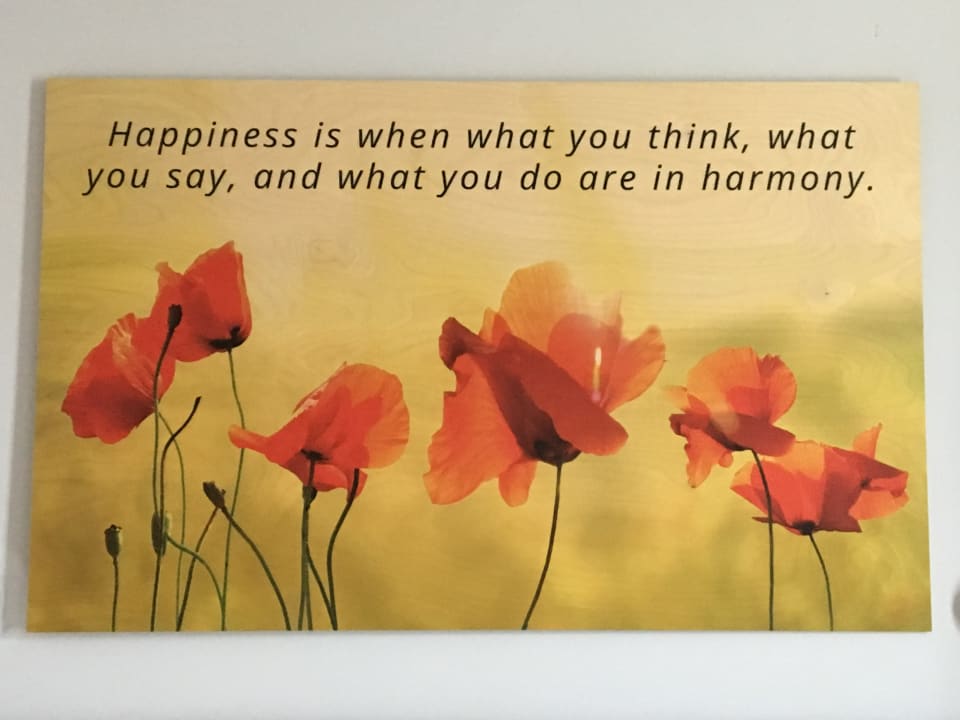 Zimmer Hotel Court Garden - Ecodesigned