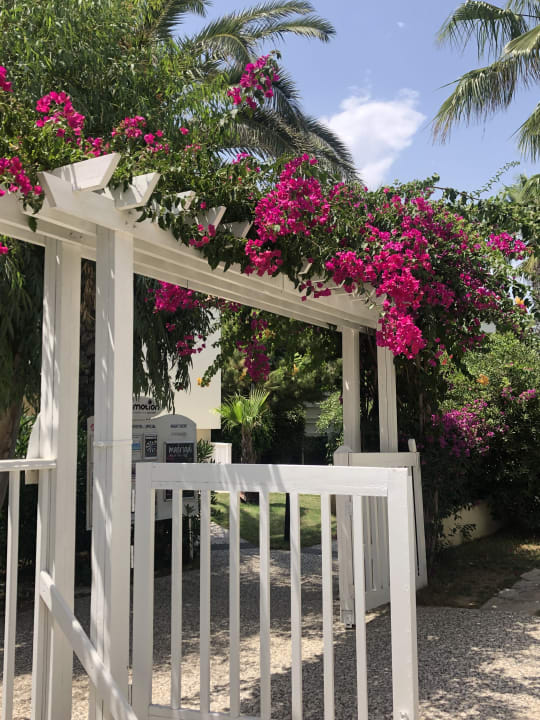 Zimmer Paloma Oceana