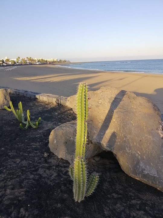 Strand Hipotels La Geria