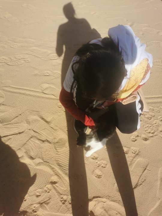 Sport & Freizeit Magic Beach Hotel Hurghada