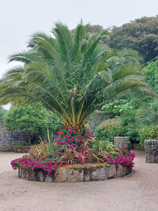Gartenanlage Hotel Tregenna Castle