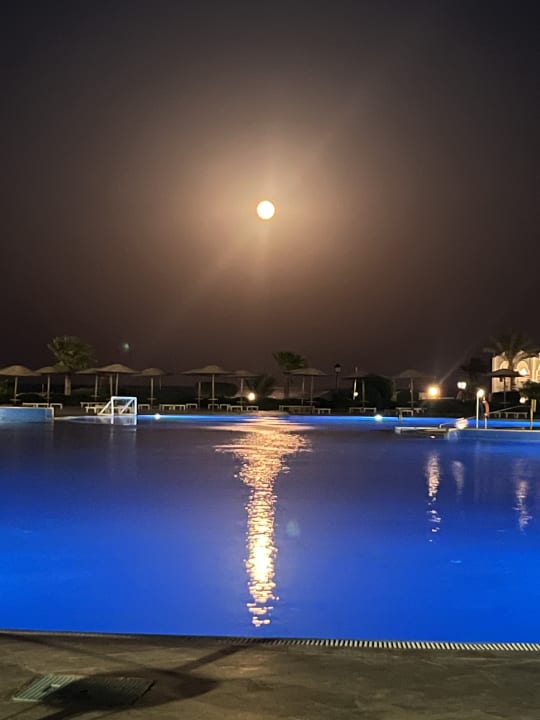 Pool Hotel Gorgonia Beach Resort