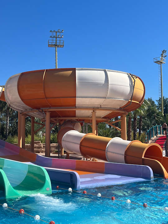 Sonstiges Delphin BE Grand