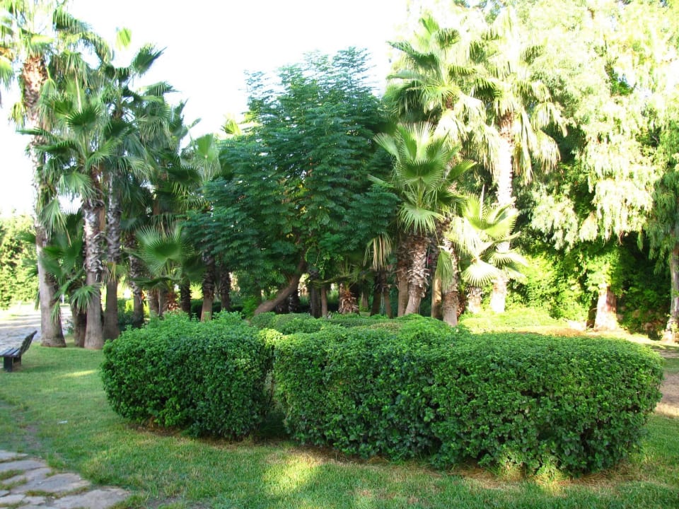 Дорога к морю Hotel Özkaymak Falez