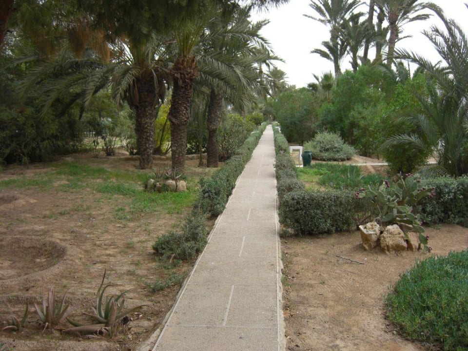 Gartenanlage Hotel Sangho Club Zarzis