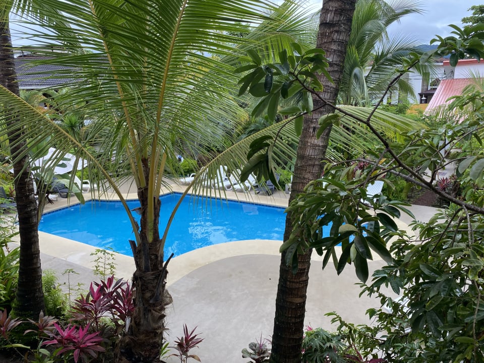 Pool Hotel Pochote Grande