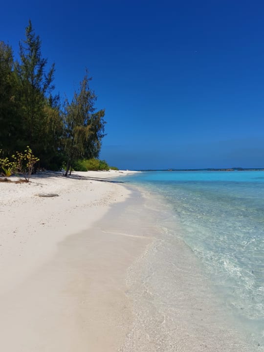 Außenansicht Summer Island Maldives