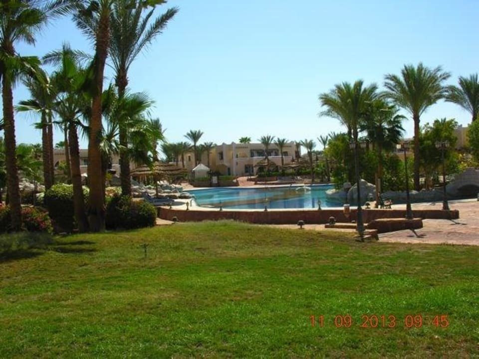 Zieleń i basen Hotel El Faraana Reef Resort