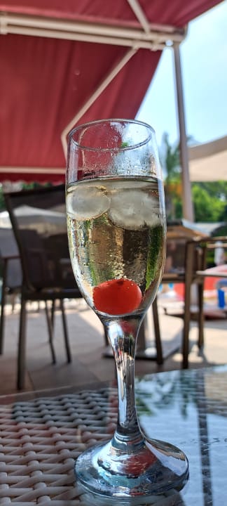 Gastro Saturn Palace Resort Hotel