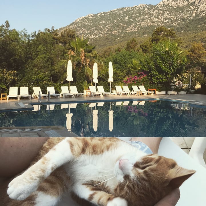 Pool LYKIA lodge | home of happiness