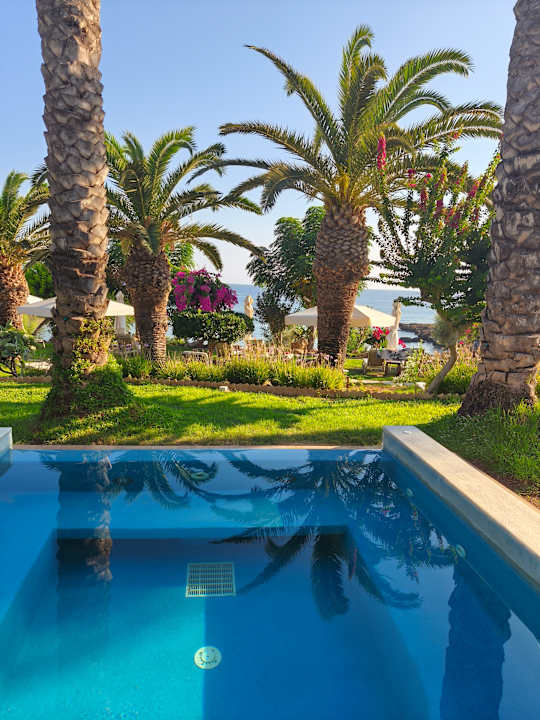 Gartenanlage Crystal Springs Beach Hotel