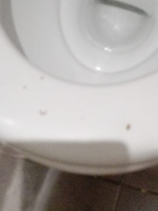 Zimmer Atlas Amadil Beach Hotel