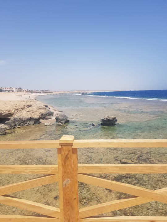 Strand Steigenberger Resort Alaya Marsa Alam - Red Sea - Adults only