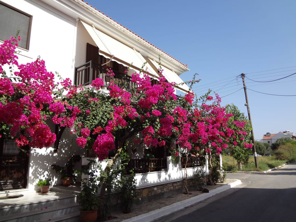 Gebäudefront beim Eingang Hotel Angeliki