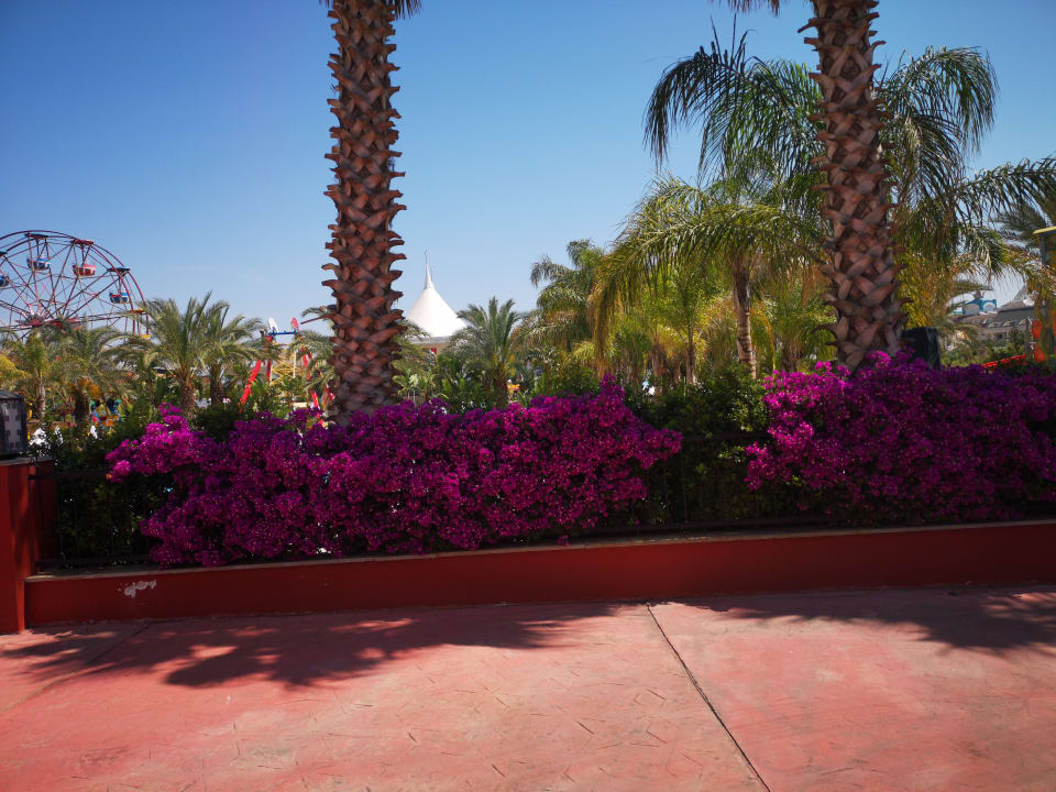 Lobby Royal Taj Mahal Hotel