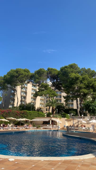 Pool Grupotel Orient