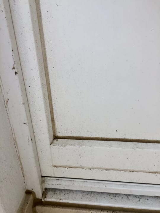 Sonstiges Ferienwohnungen Kriemhild und Brunhilde in der Villa Rheingold