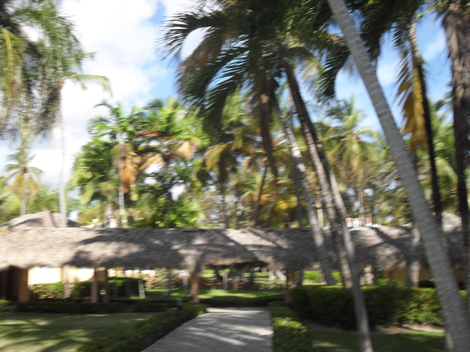 Hotel Grand Palladium Bávaro Suites Resort & Spa Grand Palladium Select Bávaro Resort & Spa