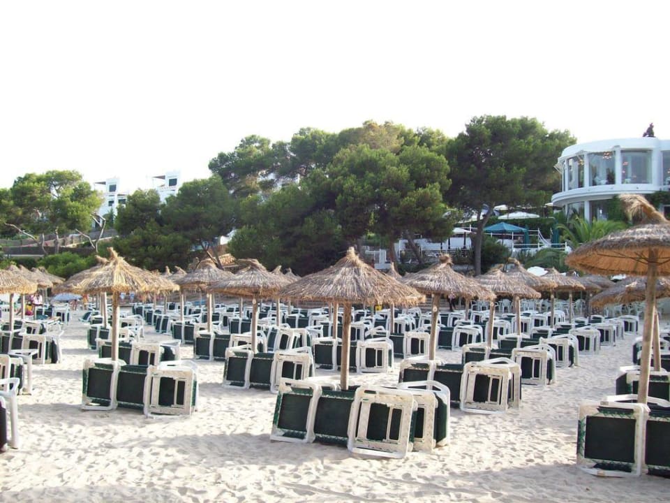 Strand mit Liegen und Sonnenschirmen Grupotel Rocador