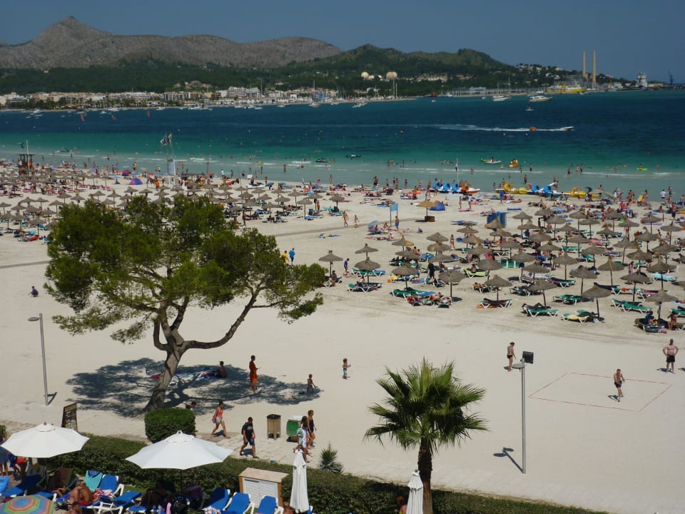 Blick vom Balkonlinks runter Aparthotel Paraiso De Alcudia