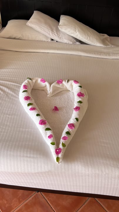 Zimmer Three Corners Sea Beach Resort