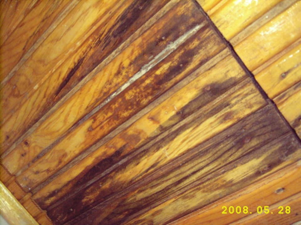 Decke im Badezimmer Armas Gül Beach