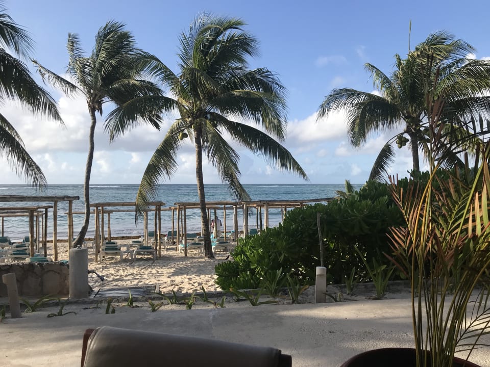 Gartenanlage Akumal Bay Beach & Wellness Resort