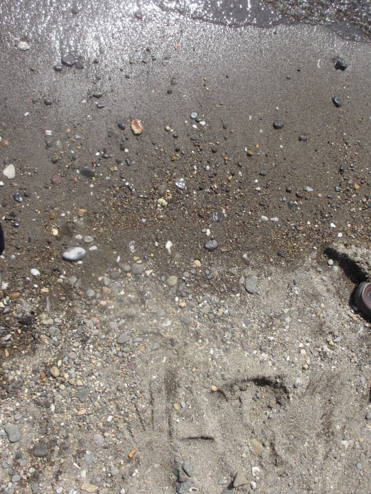 Hotel-Strand Petunya Beach Resort