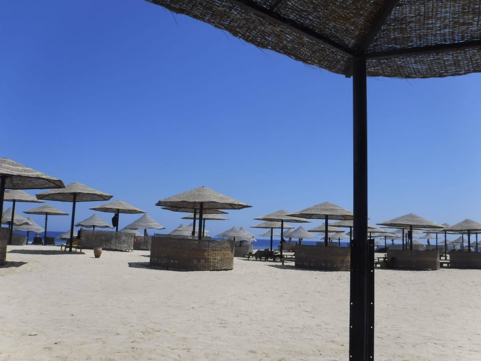 Ruhe pur Pickalbatros Sands Hotel - Port Ghalib