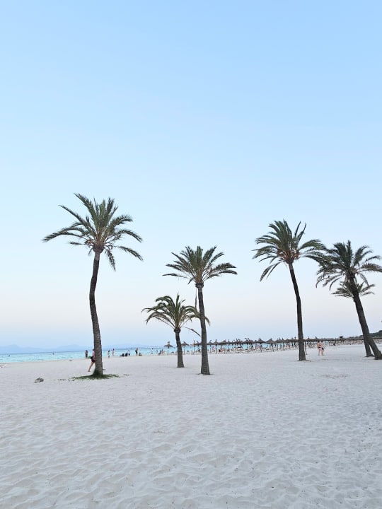 Strand allsun App.-Hotel Orquidea Playa