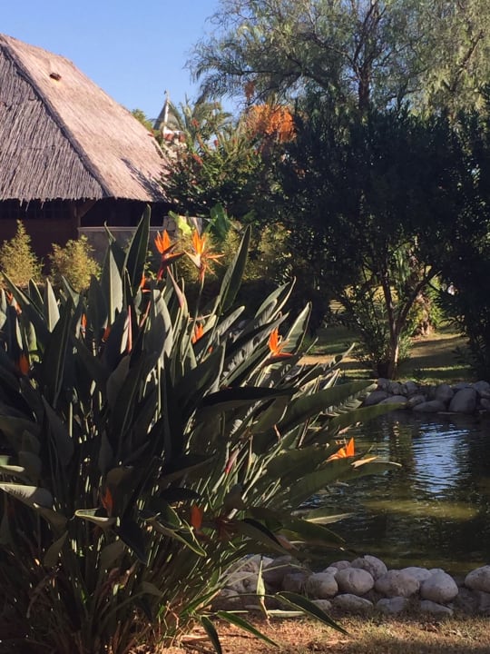Garten IC Hotels Green Palace