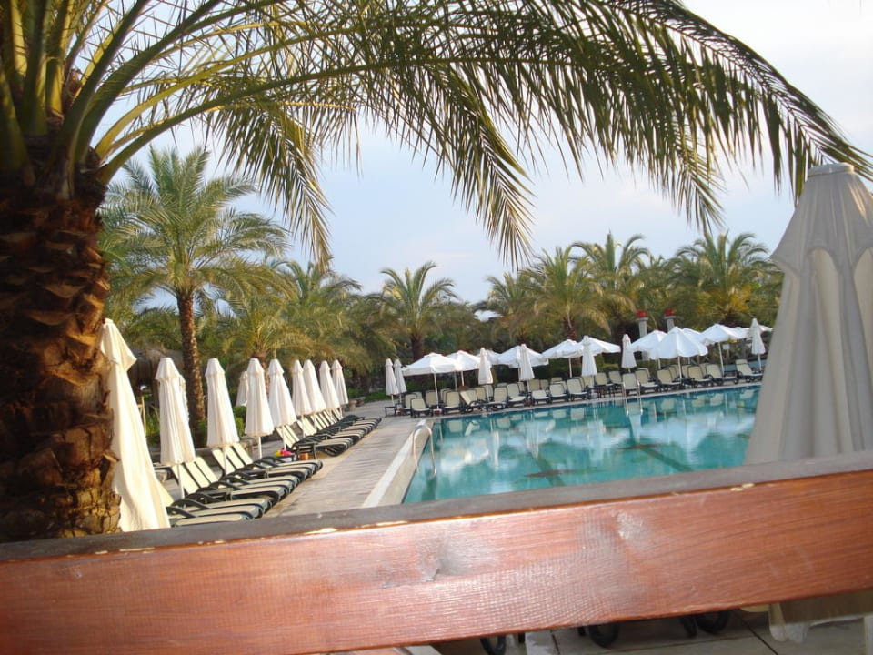 Activity Pool(natürlich Abends)sonst ist mehr los Royal Wings Hotel