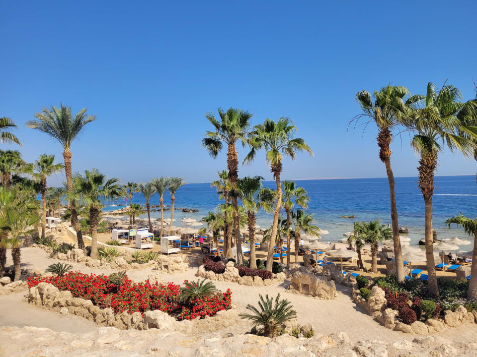 Strand Pickalbatros Citadel Resort