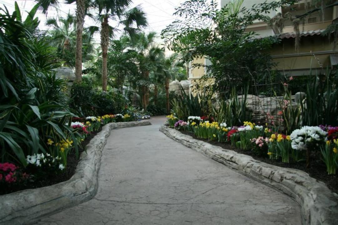 Innenhof Hotel Gaylord Palms Resort and Spa